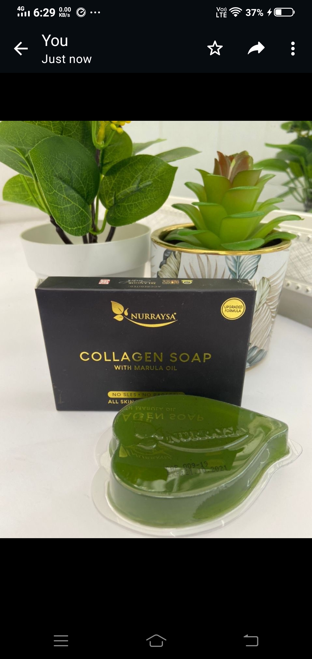 Cologne soap